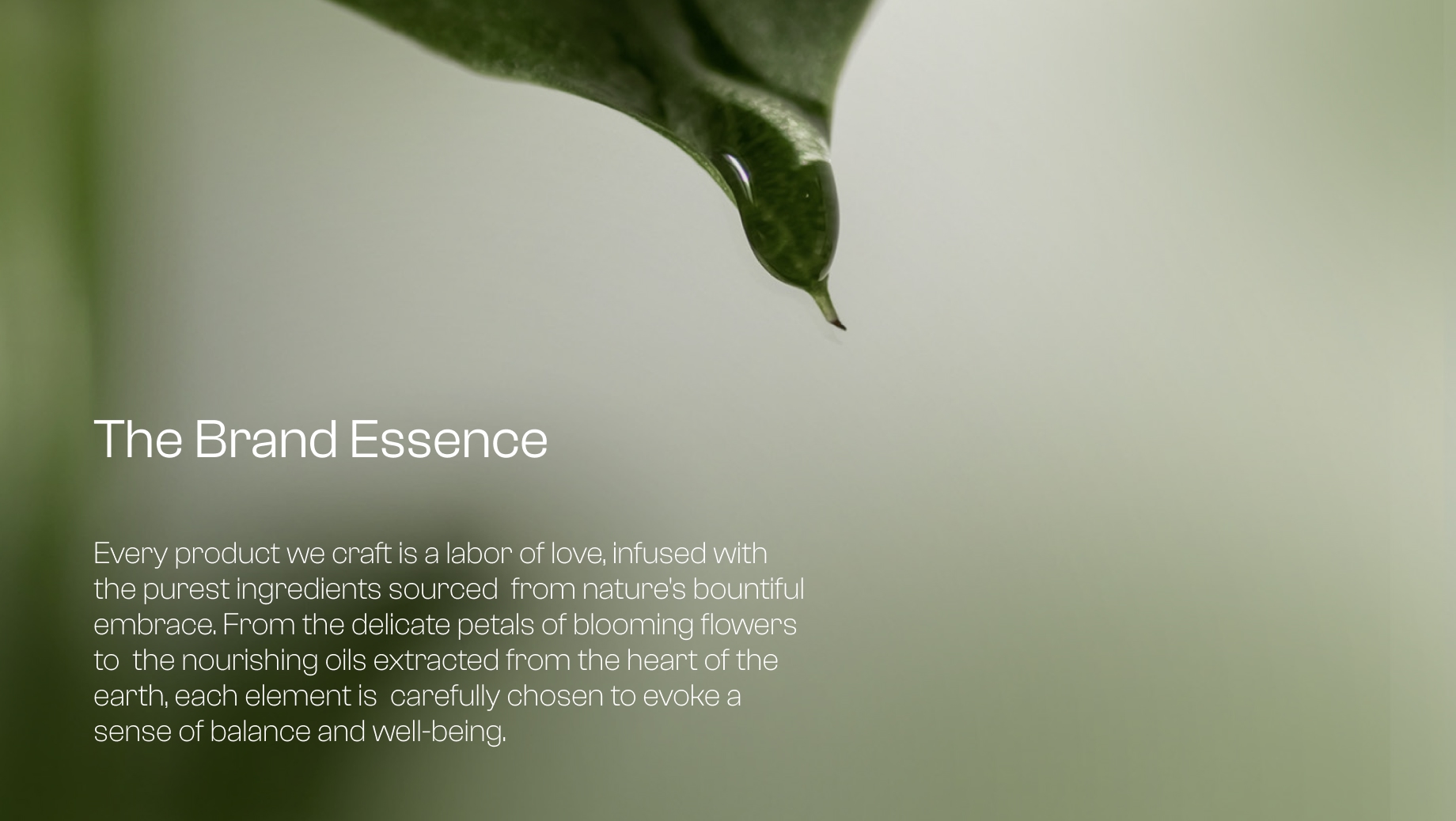 branding agency dubai