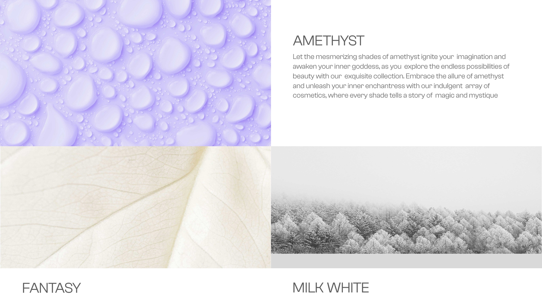 Best Website Design Company in Dubai