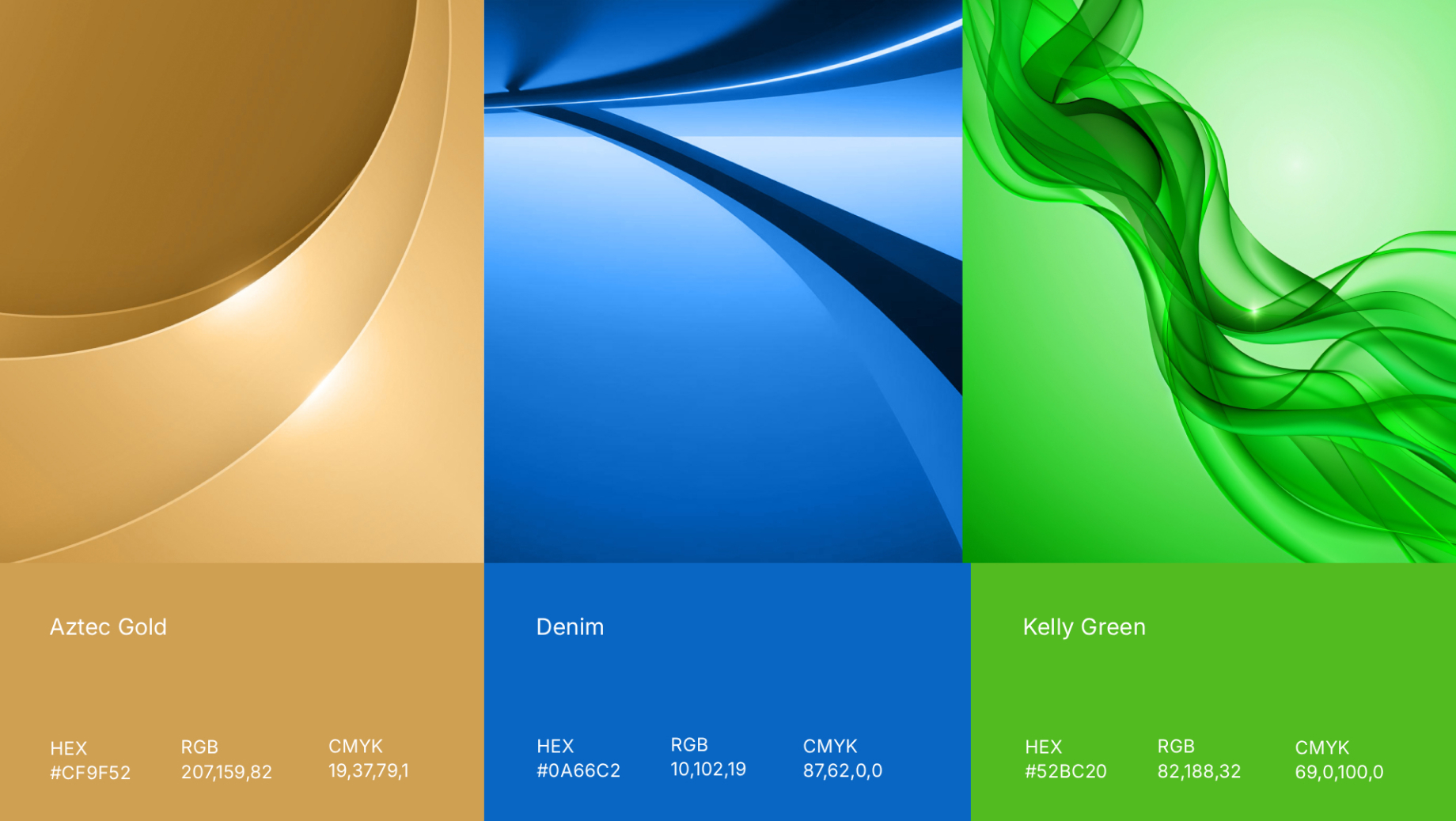 Yaldi with Tequila best web design agency Dubai