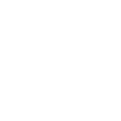 Multilingual Website Support