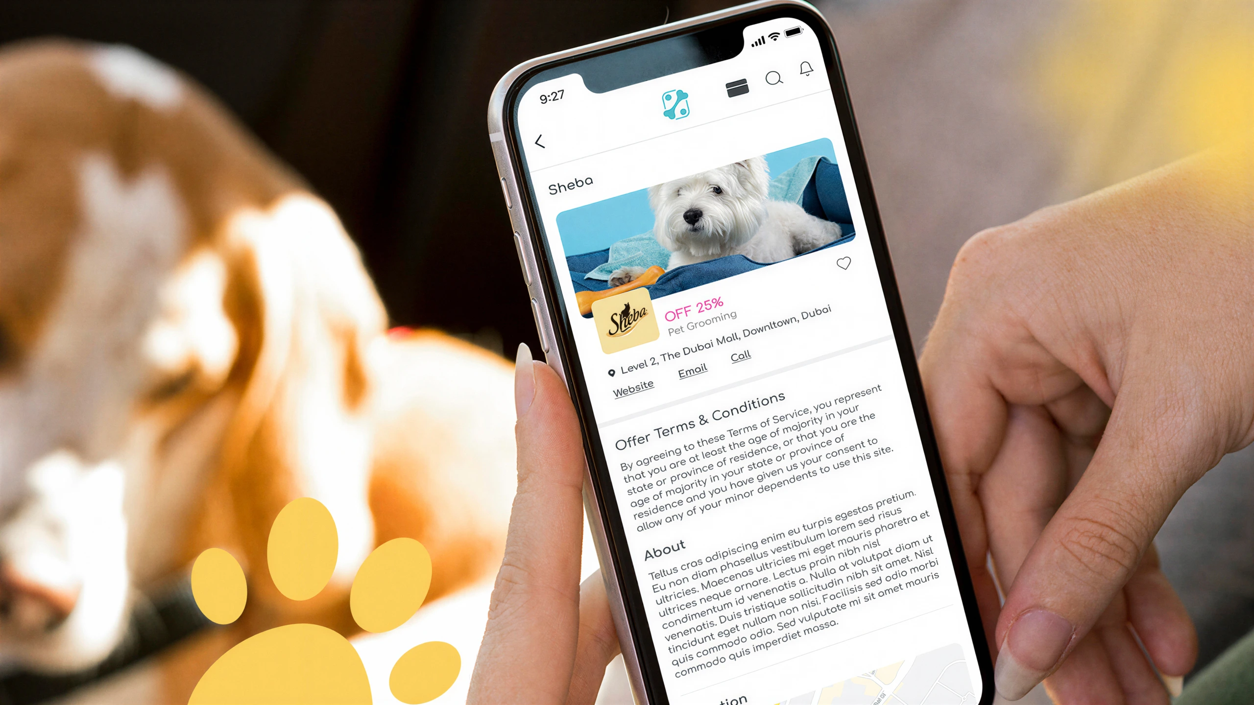 treetscards mobile mockup